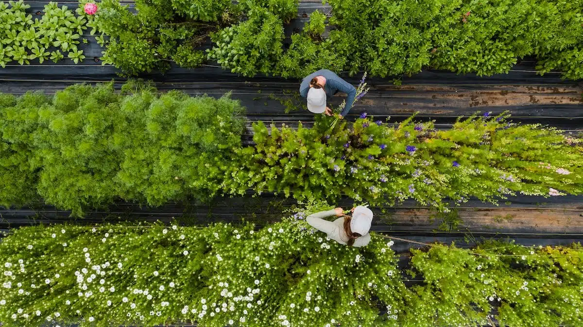 jardin écologique