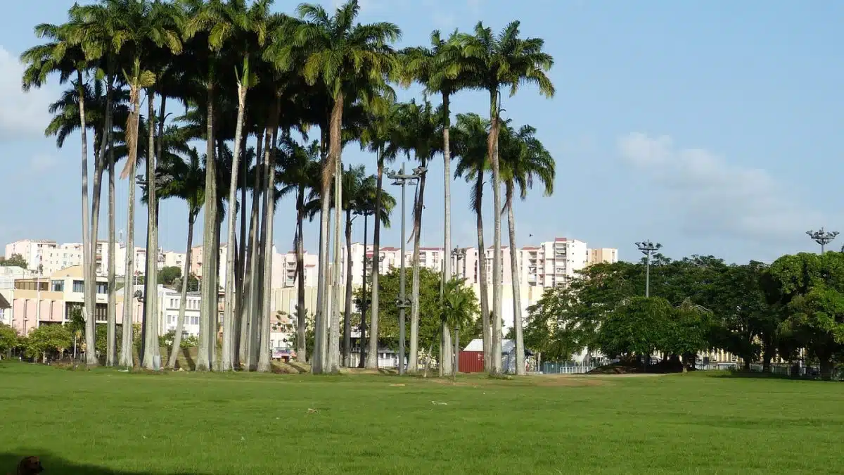 Location de voiture en Martinique : suivez ces conseils !