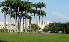 Location de voiture en Martinique : suivez ces conseils !