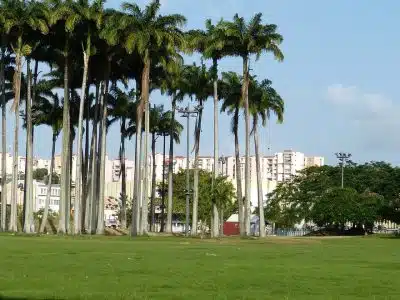 Location de voiture en Martinique : suivez ces conseils !