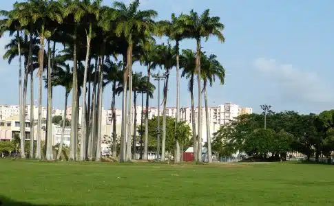 Location de voiture en Martinique : suivez ces conseils !