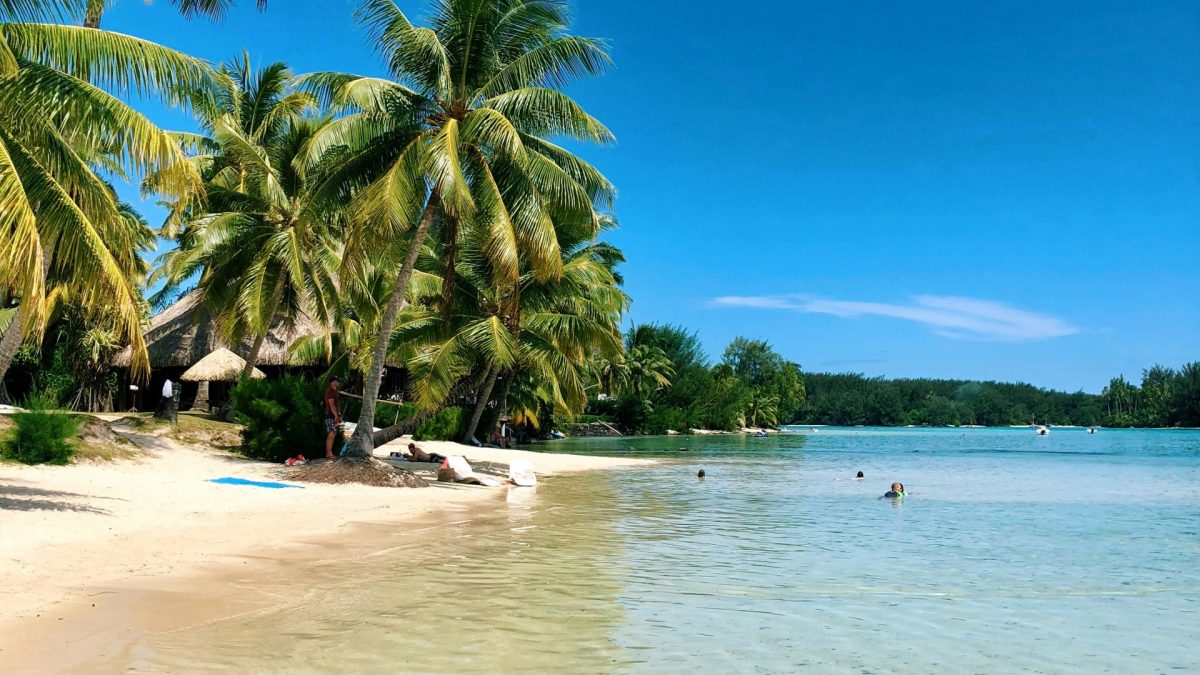 Seychelles ou Tahiti : quelle destination pour les amoureux de la nature ?