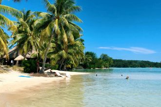 Seychelles ou Tahiti : quelle destination pour les amoureux de la nature ?